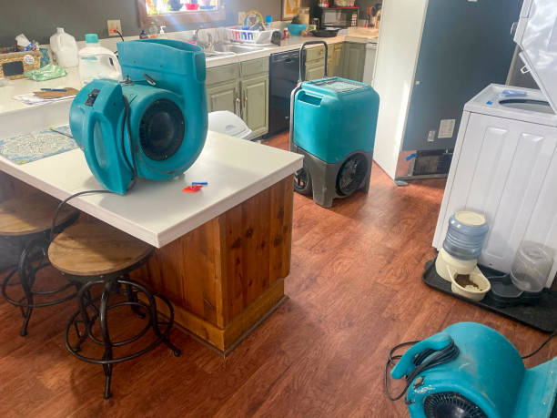 Best Mold removal after water damage  in Woodbridge, VA