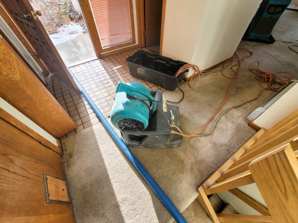 Best Mold removal after water damage  in Woodbridge, VA