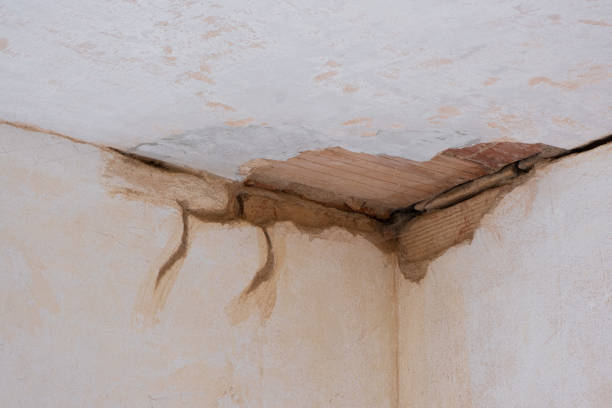 Best Carpet water damage restoration  in Woodbridge, VA
