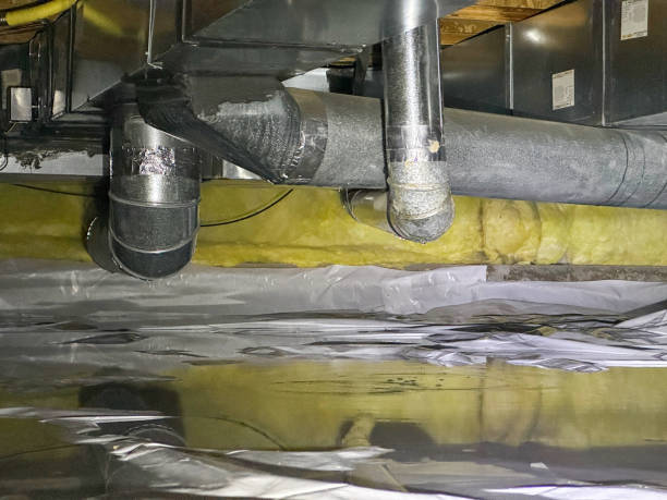 Best Water damage contractors near me  in Woodbridge, VA