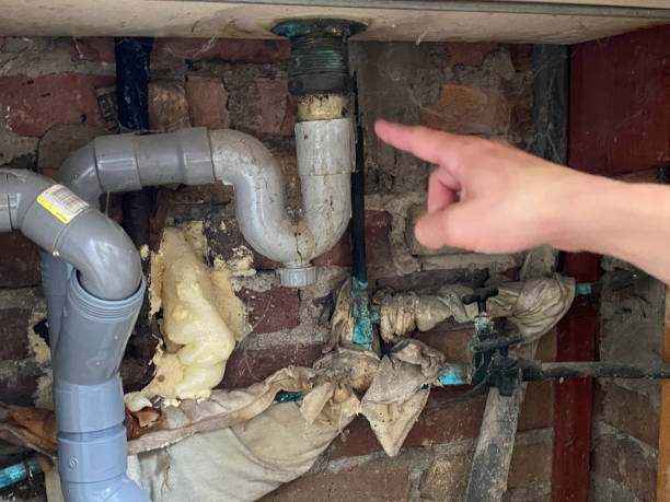 Best Local water damage restoration  in Woodbridge, VA