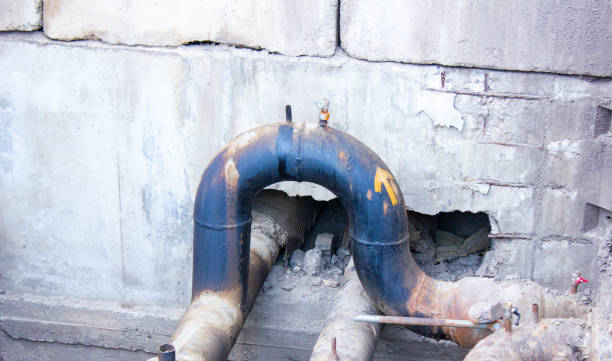 Best Flood damage cleanup  in Woodbridge, VA