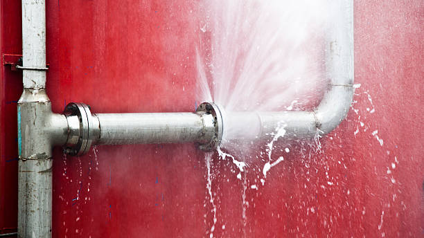 Best Water damage cleanup near me  in Woodbridge, VA